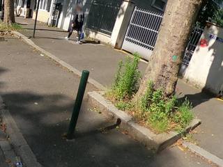 Vue de la rue à l’adresse de Dream Sushi