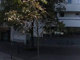 Vue de la rue à l’adresse de Pizza Pronto