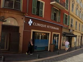 Vue de la rue à l’adresse de Chicken Street