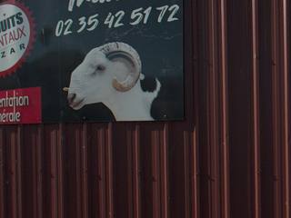 Vue de la rue à l’adresse de Planète Halal