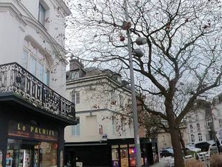 Vue de la rue à l’adresse de Le Palmier