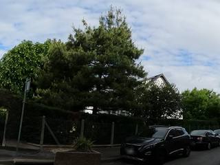 Vue de la rue à l’adresse de Boucherie de la Paix