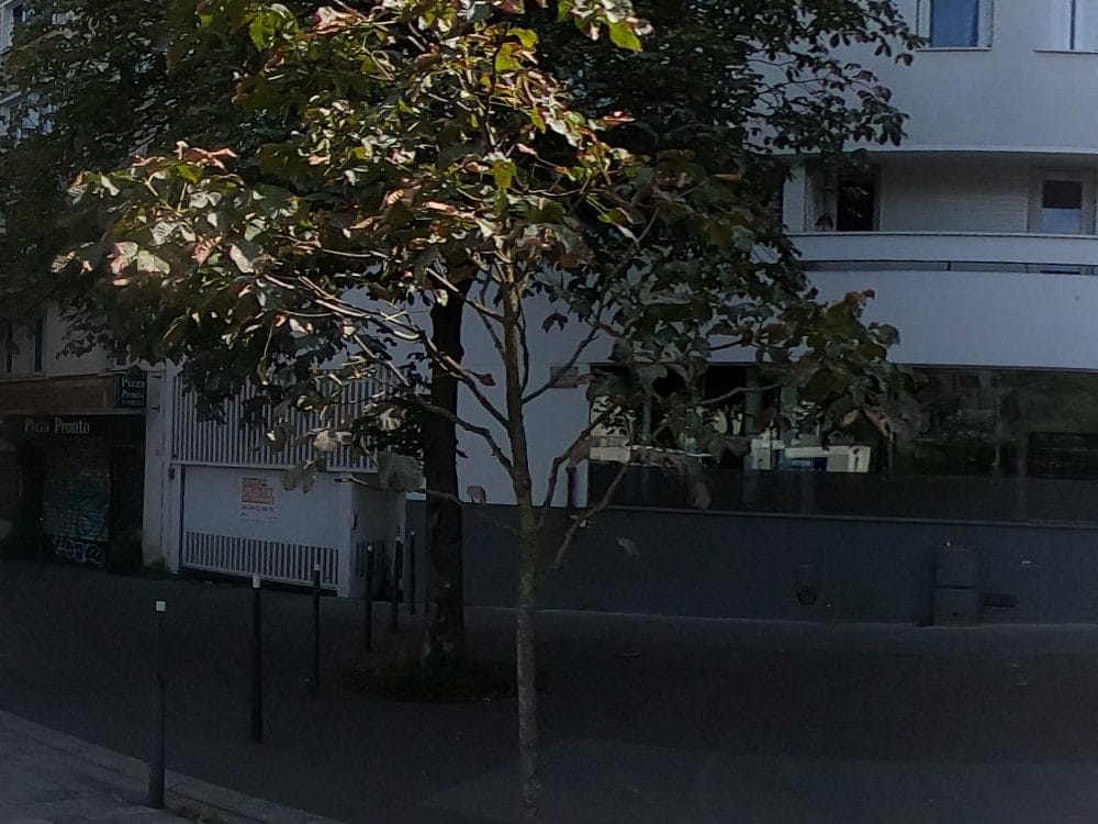 Vue de la rue à l’adresse de Pizza Pronto