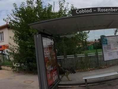 Vue de la rue à l’adresse de The Snackers