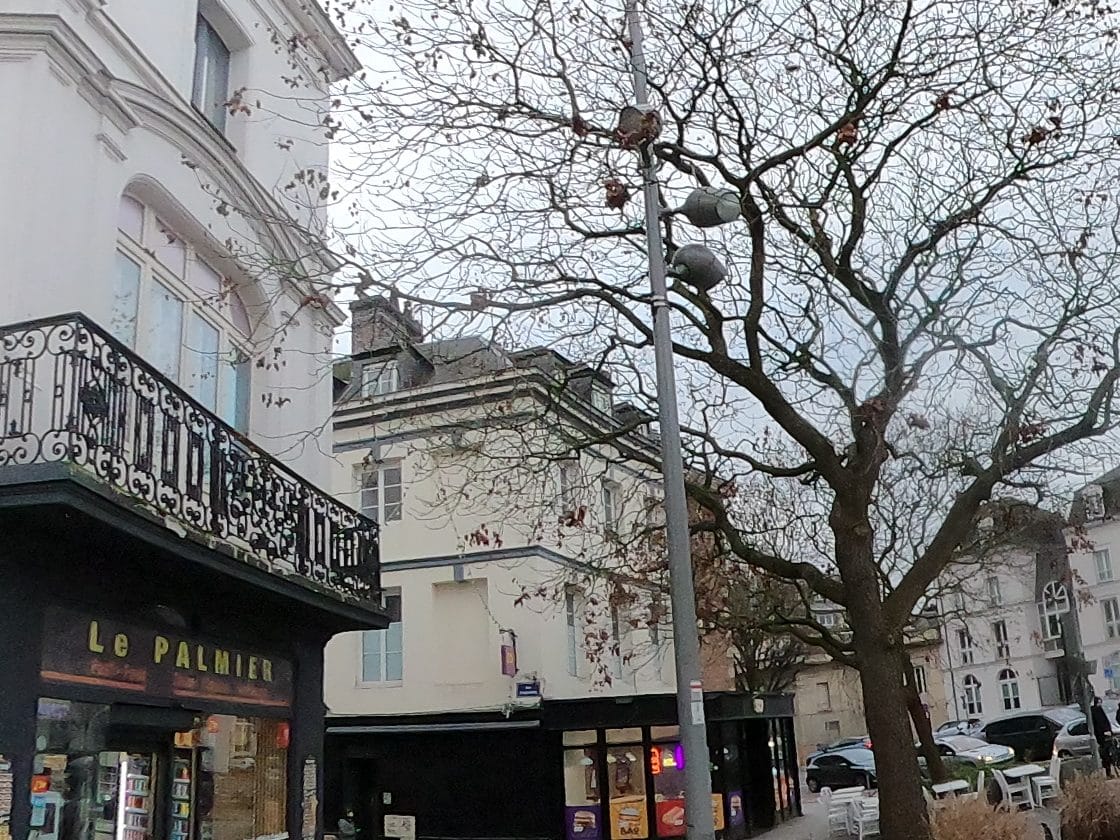 Vue de la rue à l’adresse de Le Palmier